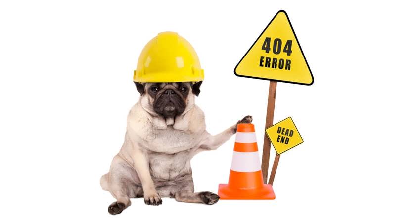 سگ پاگ با کلاه زرد ایمینی و صفحه 404 ارور